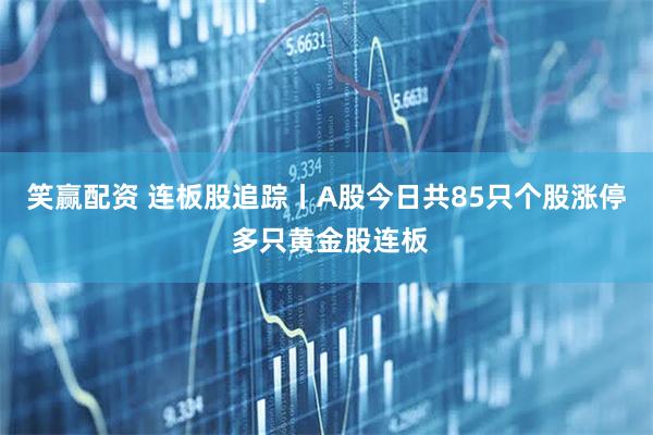 笑赢配资 连板股追踪丨A股今日共85只个股涨停 多只黄金股连板