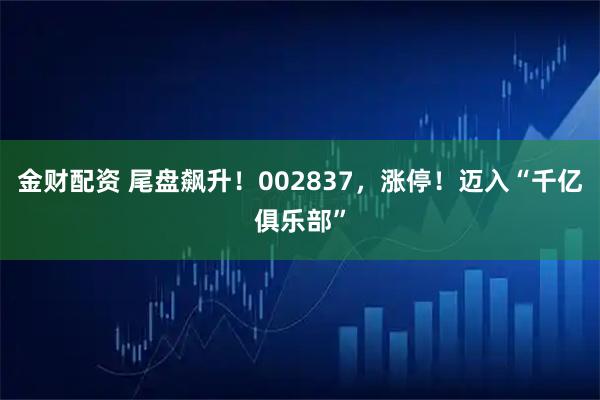 金财配资 尾盘飙升！002837，涨停！迈入“千亿俱乐部”