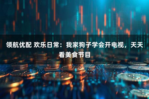 领航优配 欢乐日常：我家狗子学会开电视，天天看美食节目