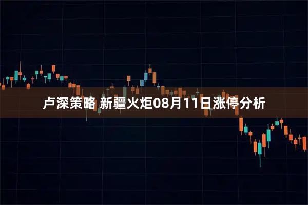 卢深策略 新疆火炬08月11日涨停分析